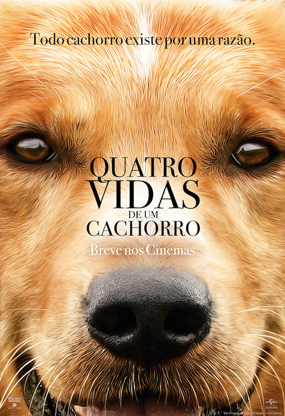 Cartaz do Filme Quatro Vidas de um Cachorro