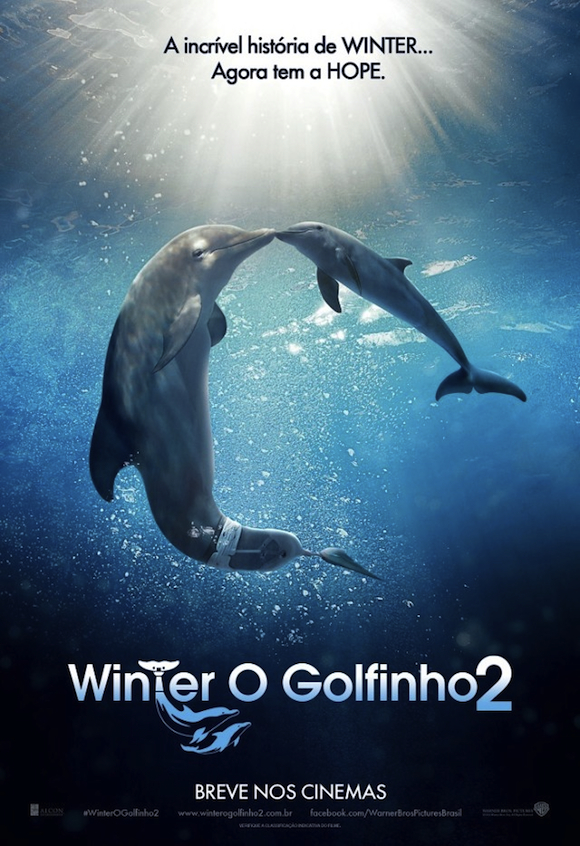 Cartaz do Filme Winter