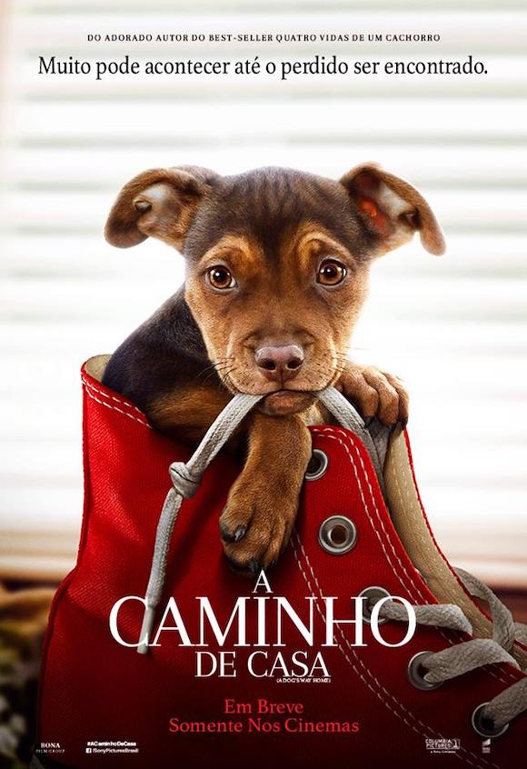 Cartaz do Filme A Caminho de Casa