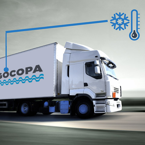 A Frigocopa tem tecnologia avançada no transporte refrigerado